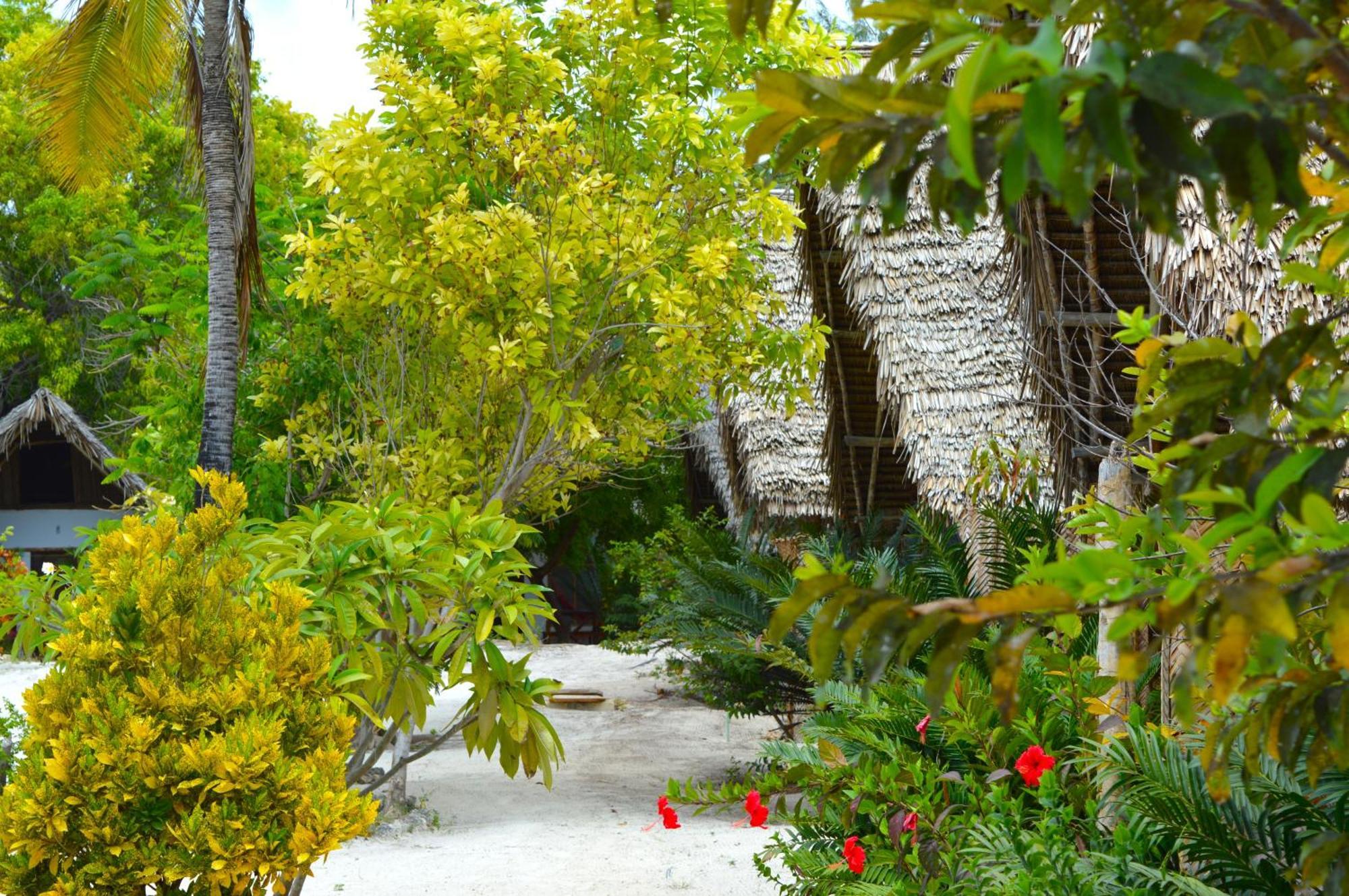 New Jambo Bungalows Paje Exterior photo