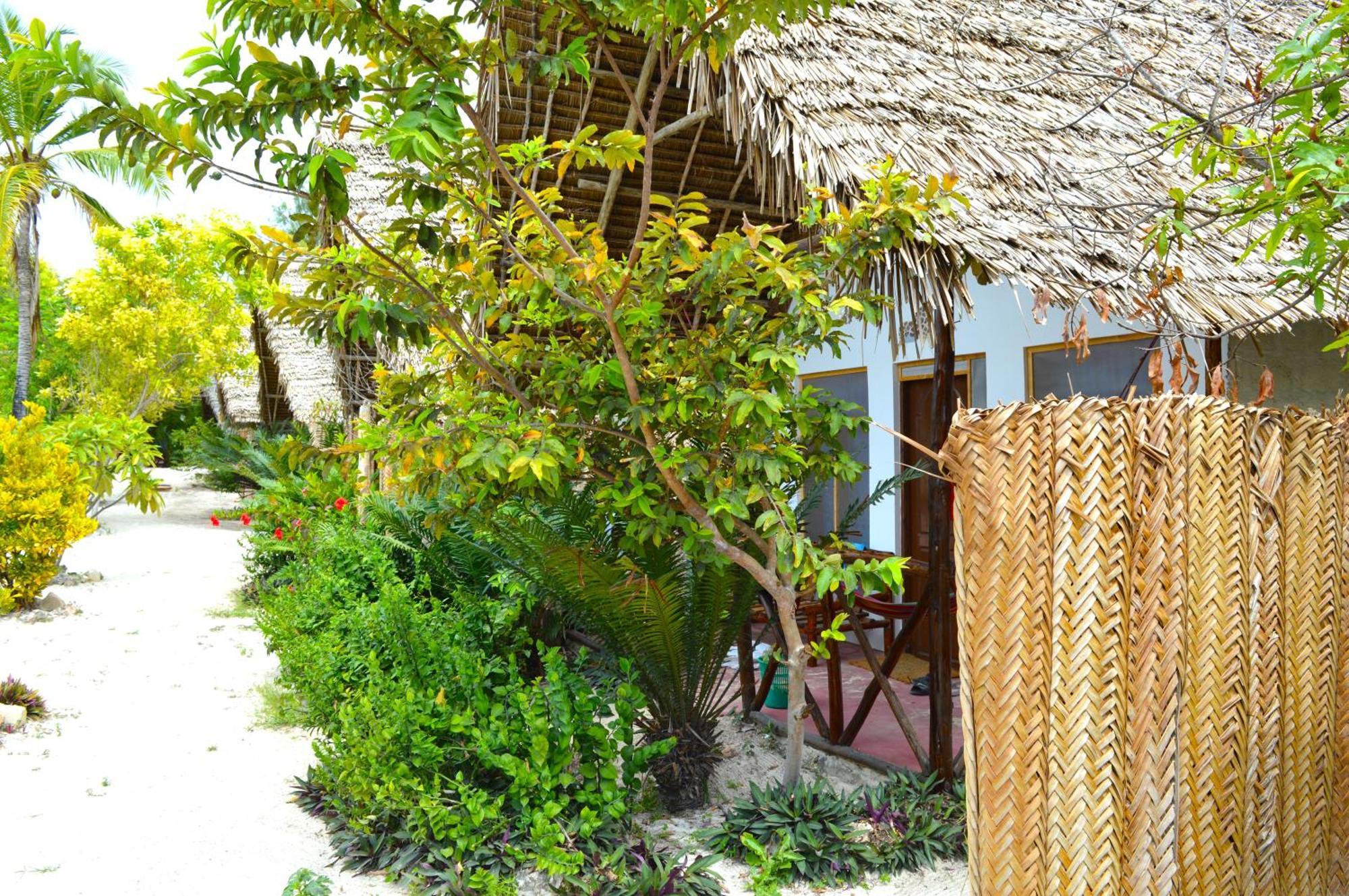 New Jambo Bungalows Paje Exterior photo