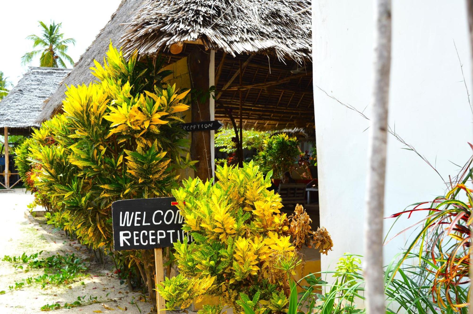 New Jambo Bungalows Paje Exterior photo