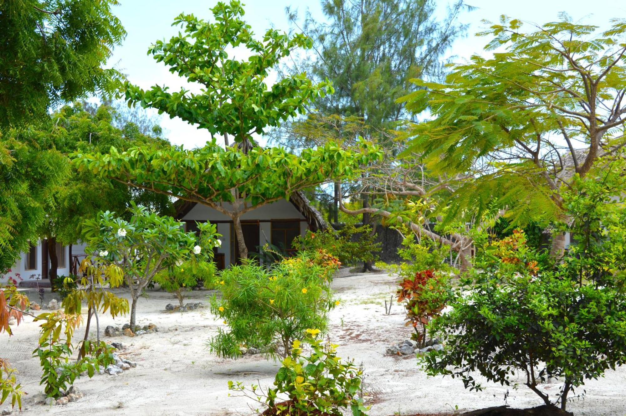 New Jambo Bungalows Paje Exterior photo