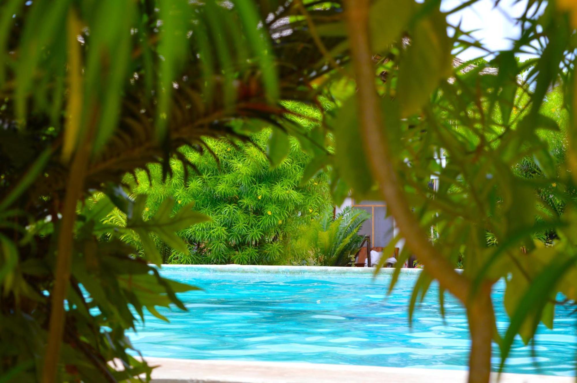 New Jambo Bungalows Paje Exterior photo
