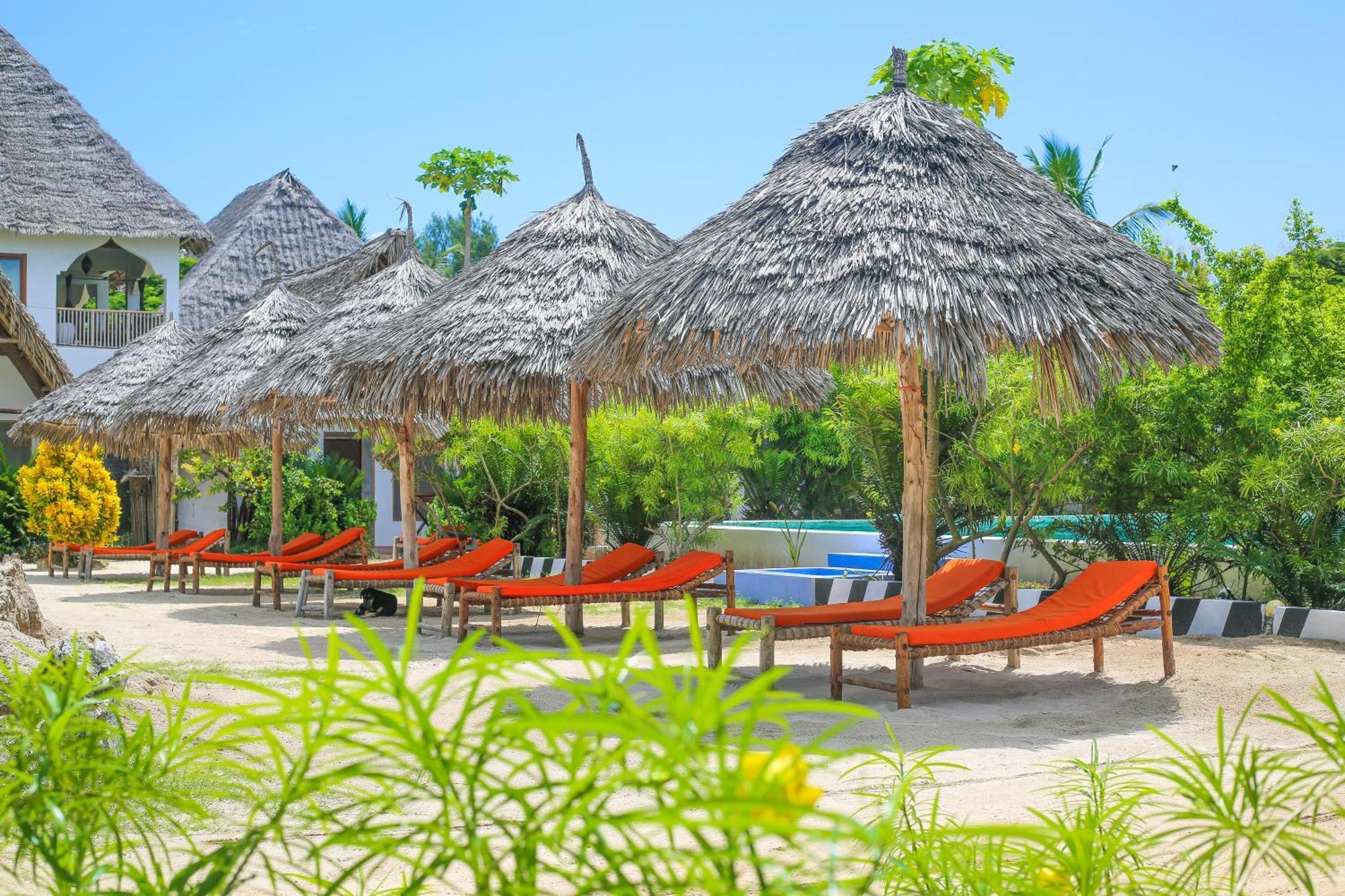 New Jambo Bungalows Paje Exterior photo